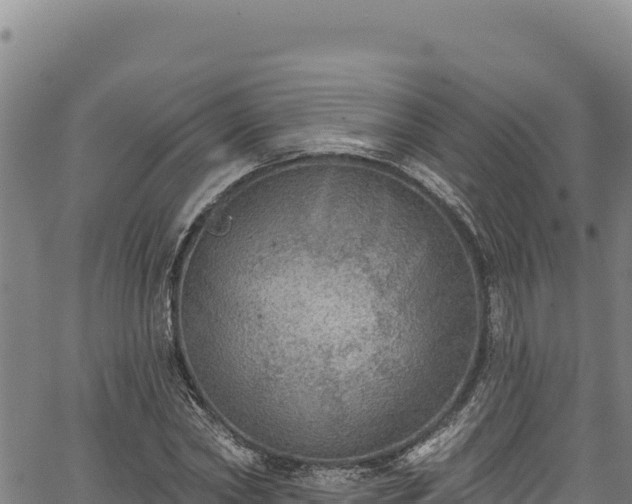 X0000066950782200603311441