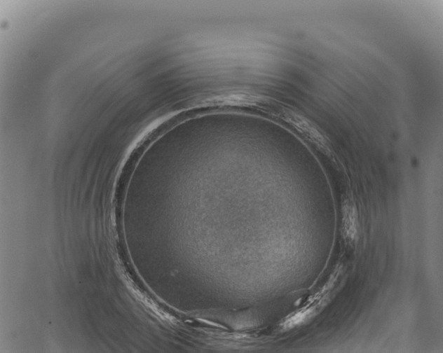 X0000066950784200603311441