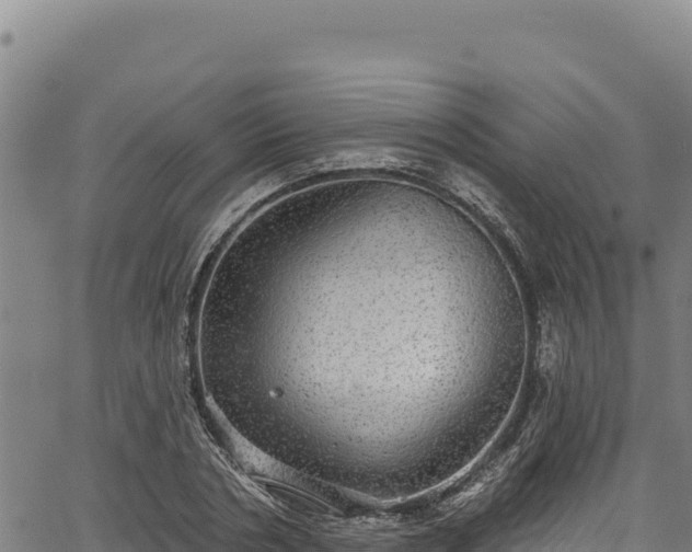 X0000066950786200603311441