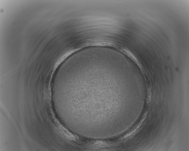 X0000066950787200603311441