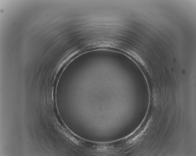 X0000066950790200603311441