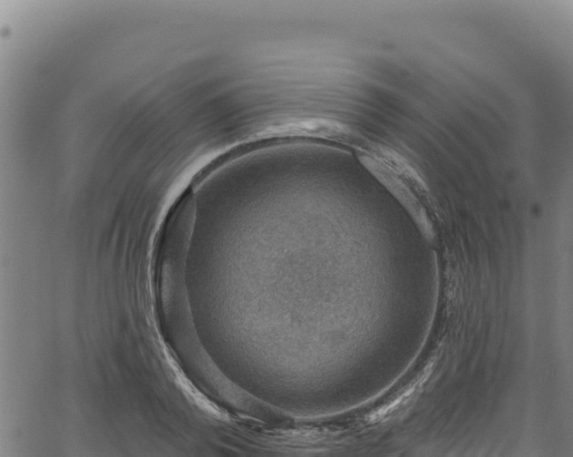 X0000066950792200603311441