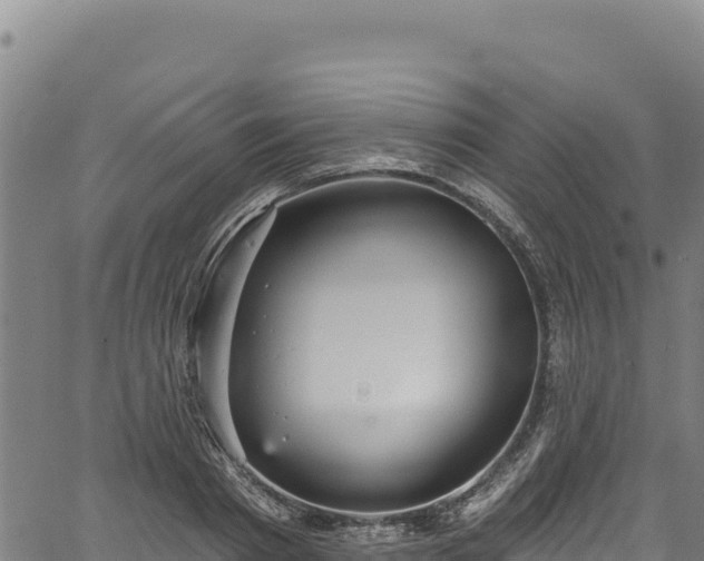 X0000066950793200603311441