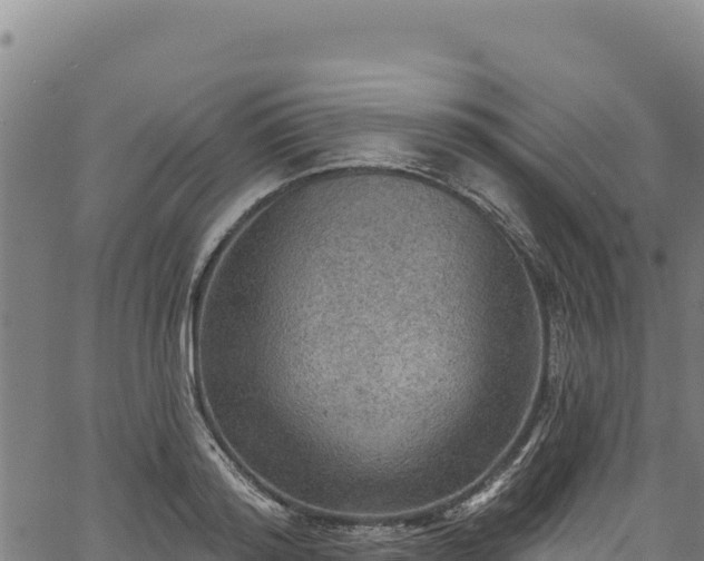 X0000066950796200603311441