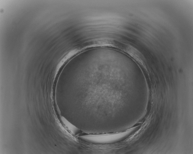 X0000066950797200603311441