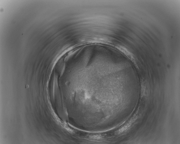 X0000066950798200603311441