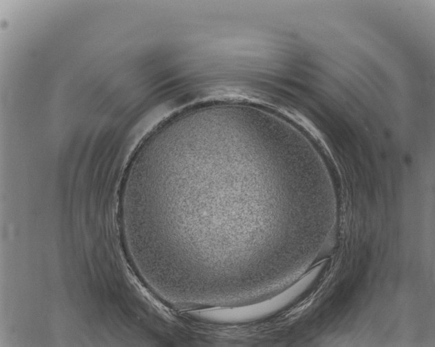 X0000066950799200603311441