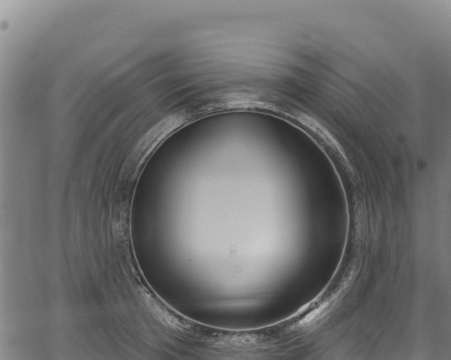 X0000066950801200603311441