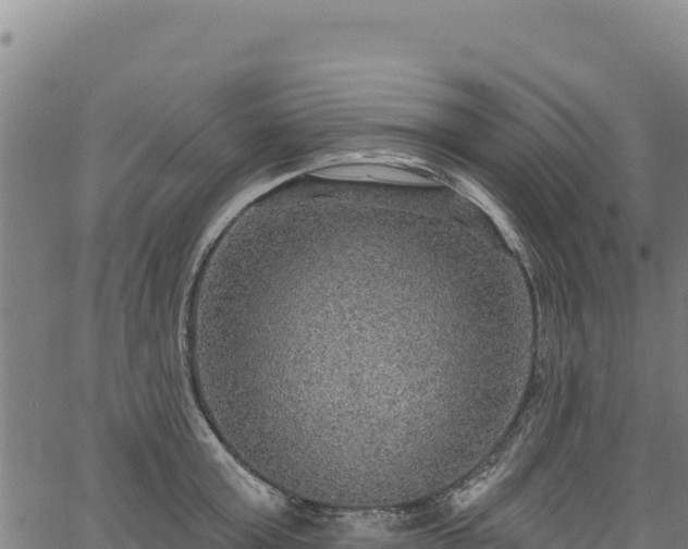 X0000066950803200603311441