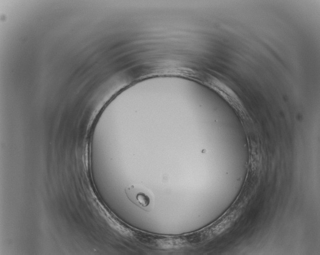 X0000066950804200603311441