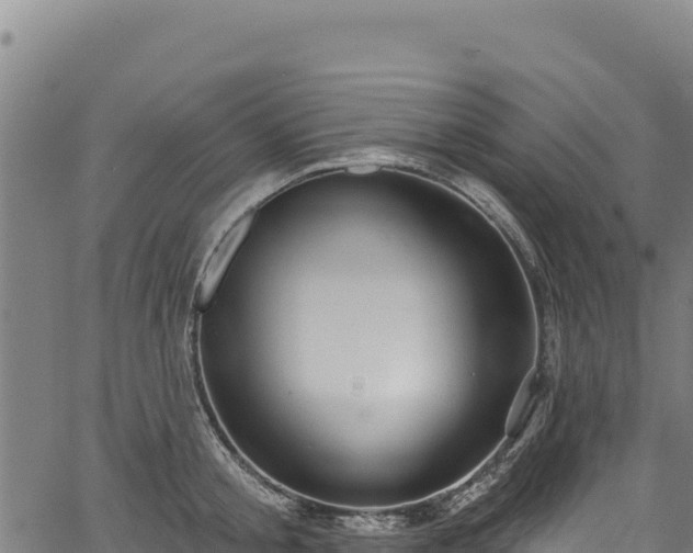 X0000066950805200603311441