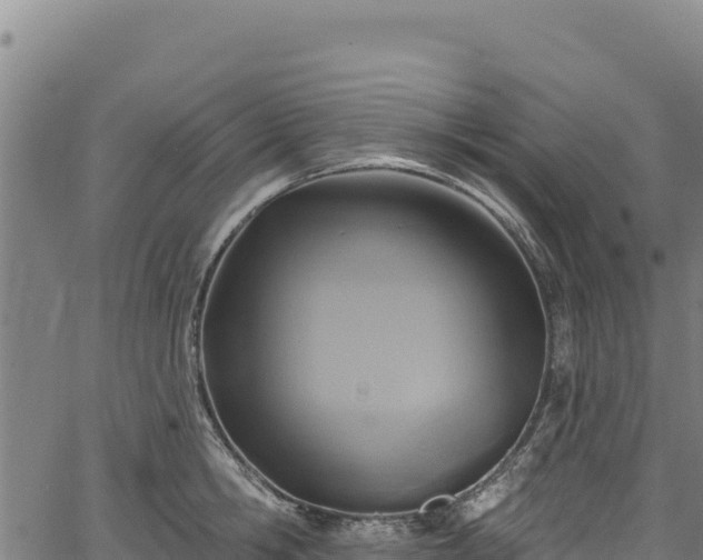 X0000066950806200603311441