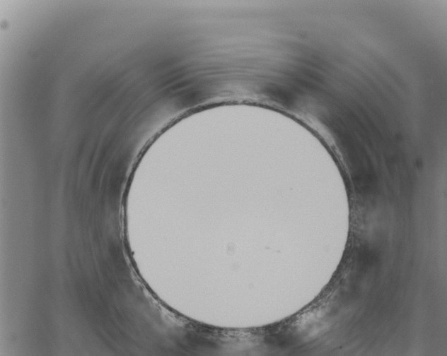 X0000066950807200603311441