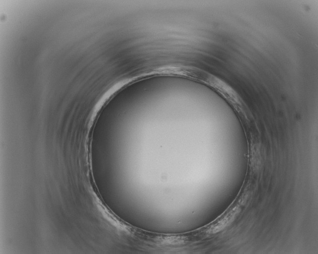 X0000066950808200603311441