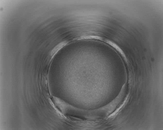 X0000066950809200603311441