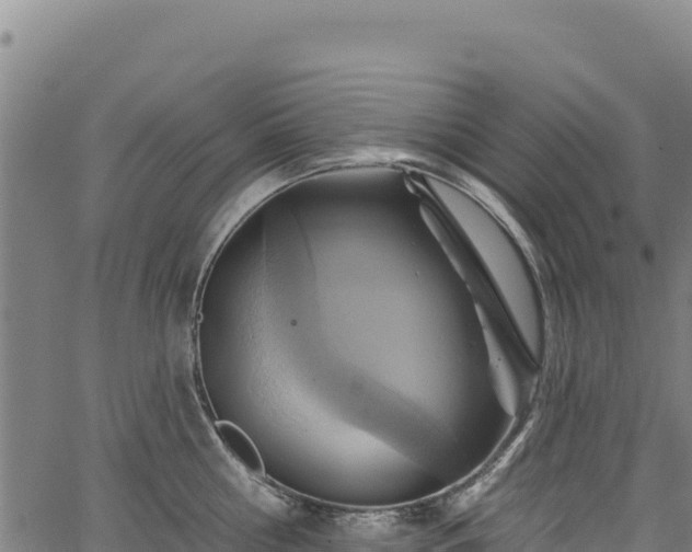 X0000066950810200603311441