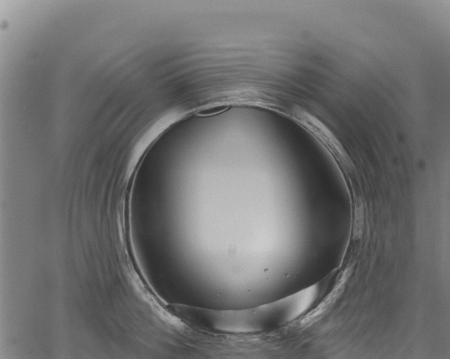 X0000066950812200603311441