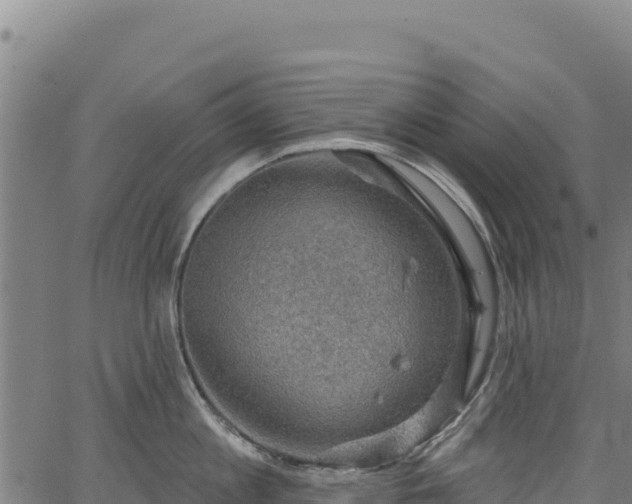 X0000066950813200603311441