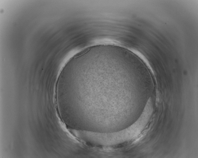 X0000066950815200603311440