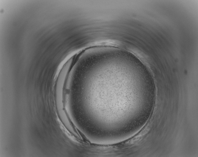 X0000066950816200603311440