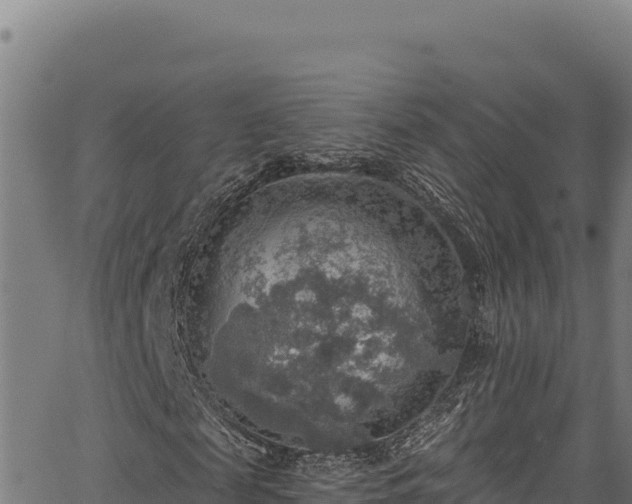 X0000066950817200603311440