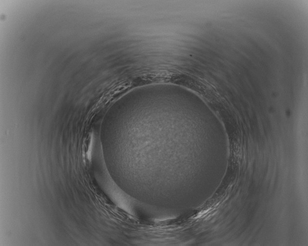 X0000066950818200603311440