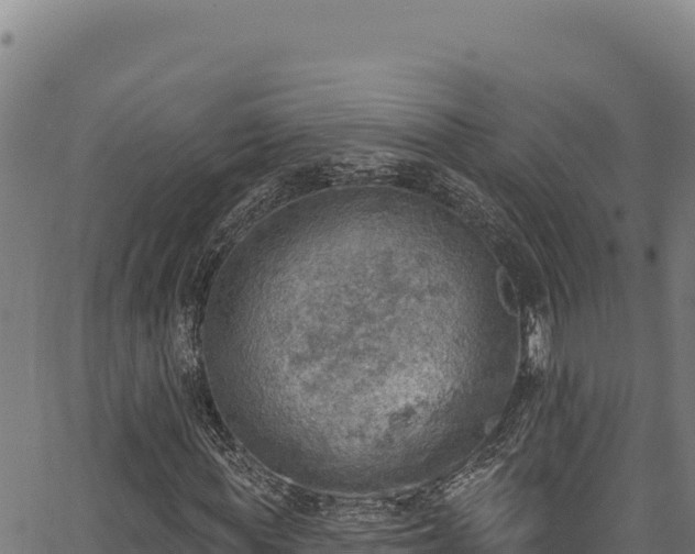 X0000066950819200603311440