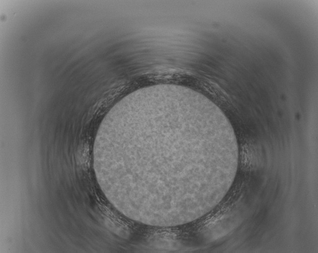 X0000066950820200603311440