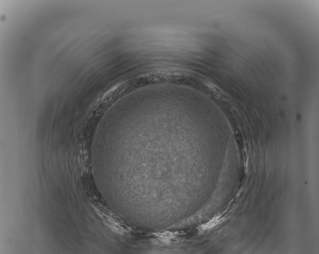 X0000066950822200603311440