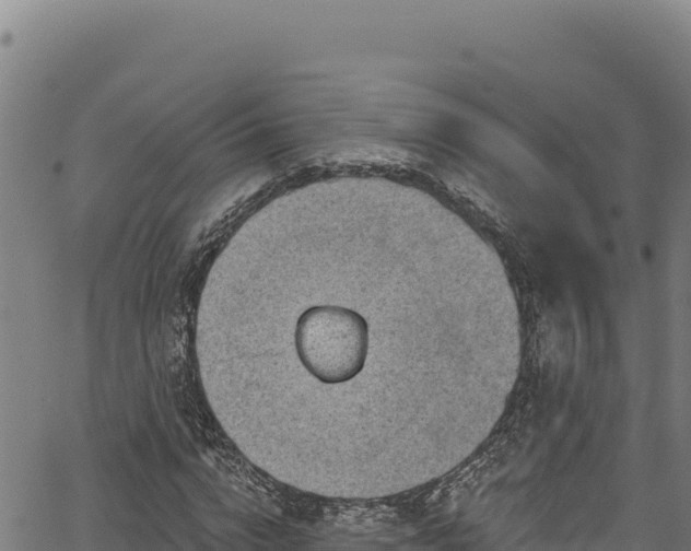 X0000066950824200603311440