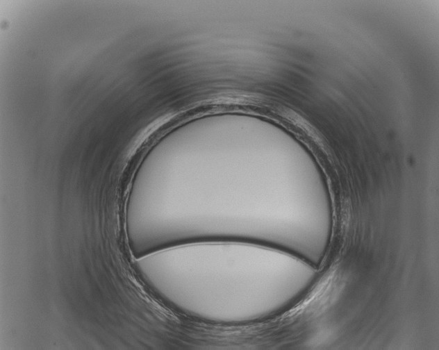 X0000066950829200603311440