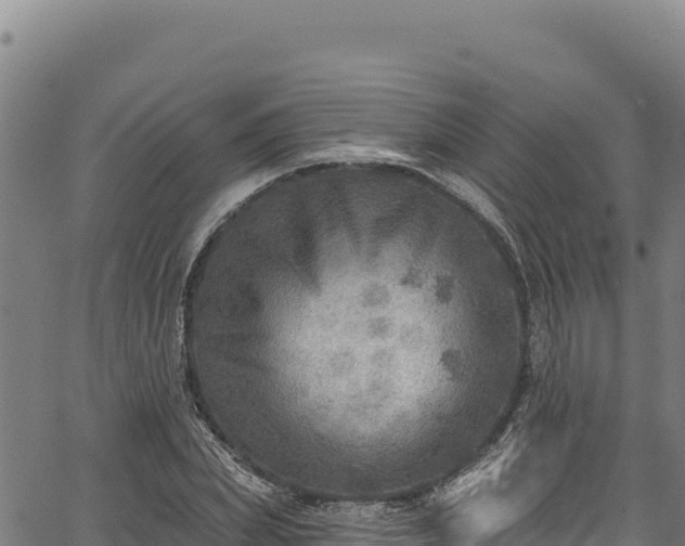 X0000066950831200603311440