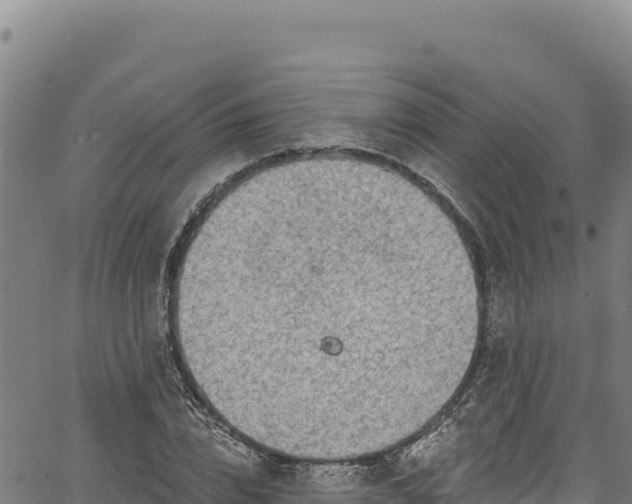 X0000066950832200603311440