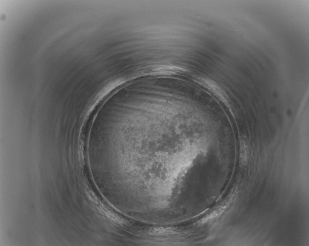 X0000066950835200603311440