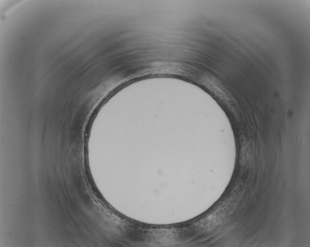 X0000066950836200603311440