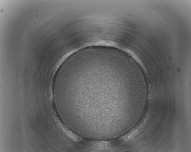 X0000066950837200603311440