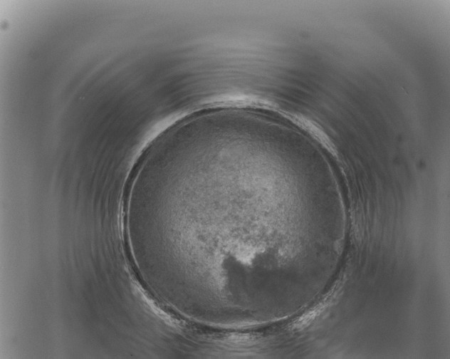 X0000066950839200603311440