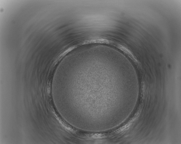 X0000066950841200603311440