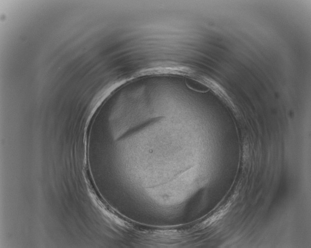 X0000066950844200603311440