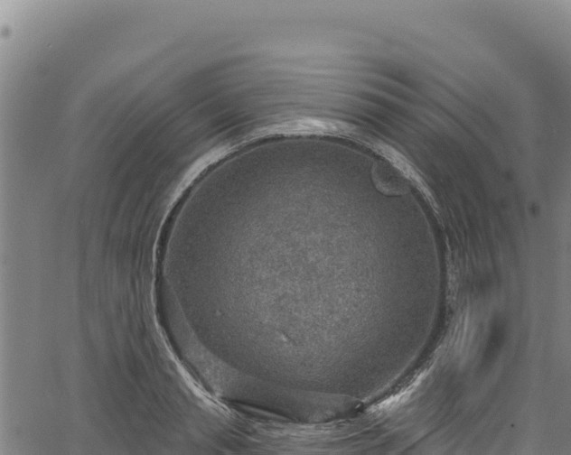 X0000066950845200603311440