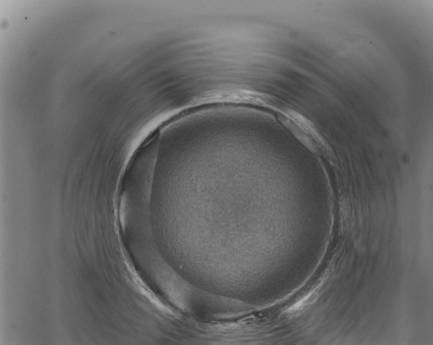 X0000066950846200603311440