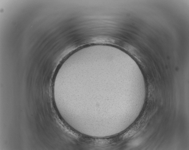 X0000066950848200603311440