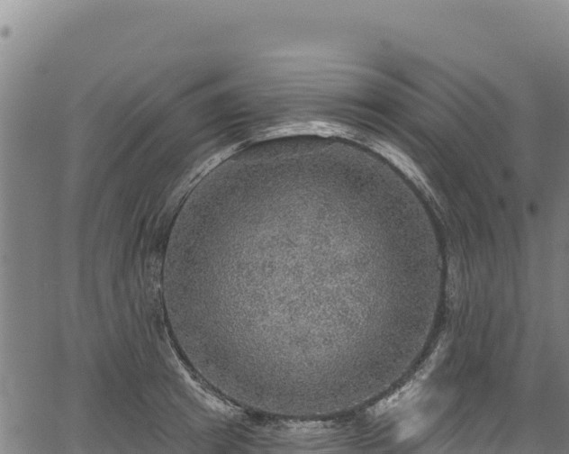 X0000066950849200603311440