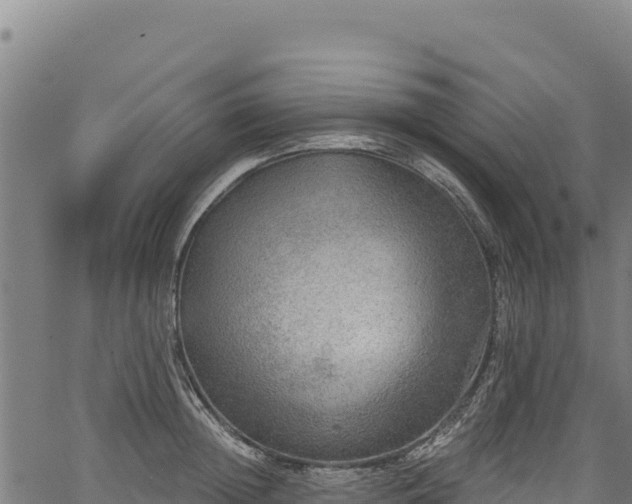 X0000066950852200603311440