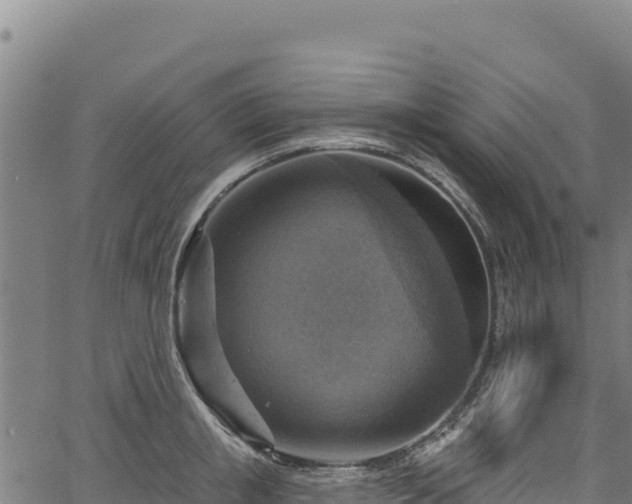 X0000066950853200603311440