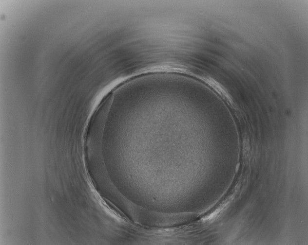 X0000066950854200603311440