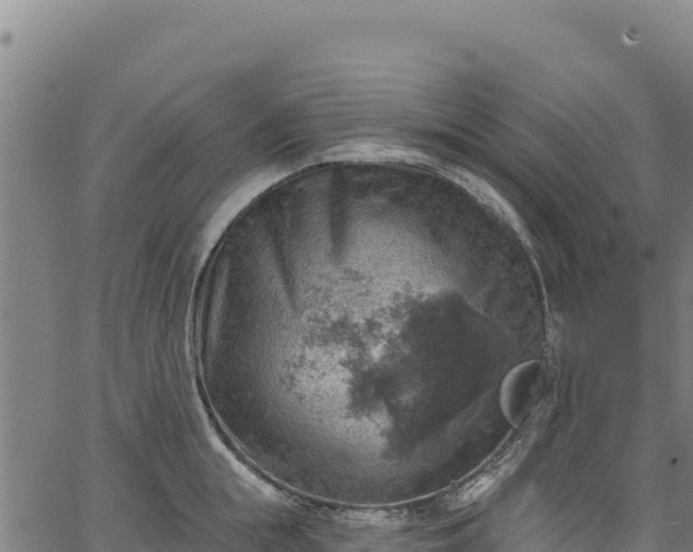 X0000066950855200603311440