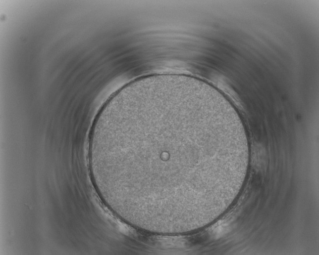 X0000066950856200603311440