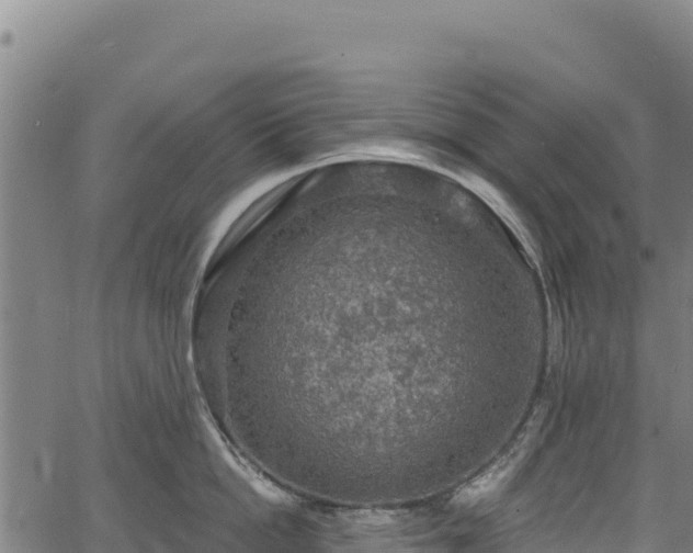 X0000066950862200603311440