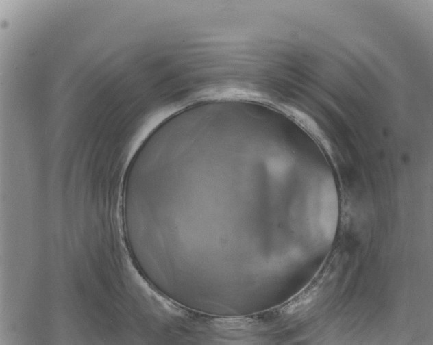 X0000066950863200603311440